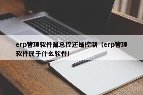 erp管理软件是总控还是控制（erp管理软件属于什么软件）