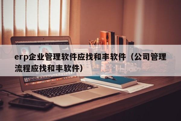 erp企业管理软件应找和丰软件（公司管理流程应找和丰软件）