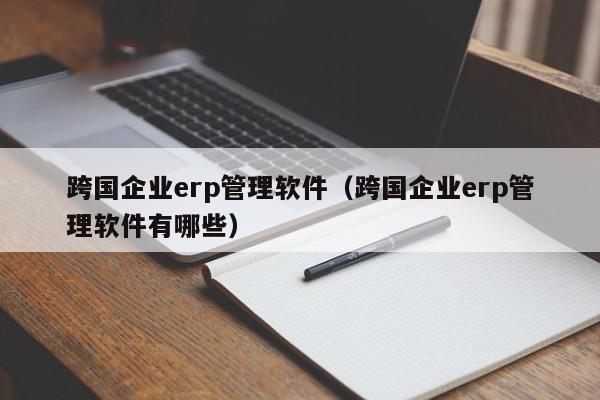 跨国企业erp管理软件（跨国企业erp管理软件有哪些）