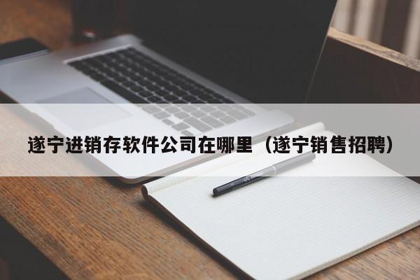 遂宁进销存软件公司在哪里（遂宁销售招聘）