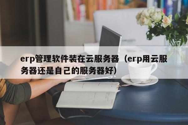 erp管理软件装在云服务器（erp用云服务器还是自己的服务器好）