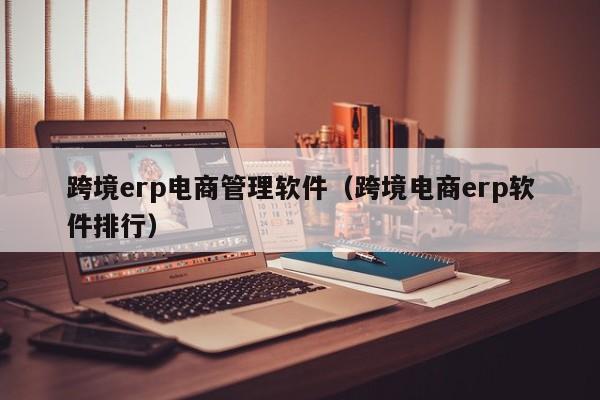 跨境erp电商管理软件（跨境电商erp软件排行）