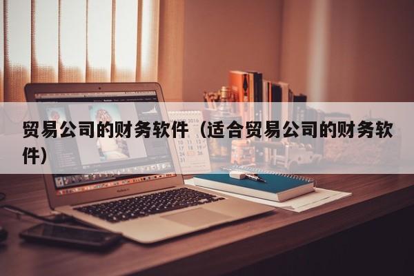 贸易公司的财务软件（适合贸易公司的财务软件）