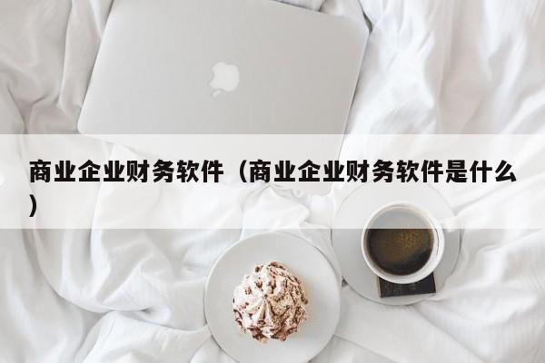 商业企业财务软件（商业企业财务软件是什么）