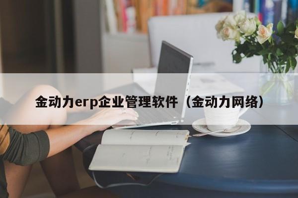 金动力erp企业管理软件（金动力网络）