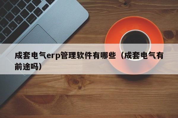 成套电气erp管理软件有哪些（成套电气有前途吗）