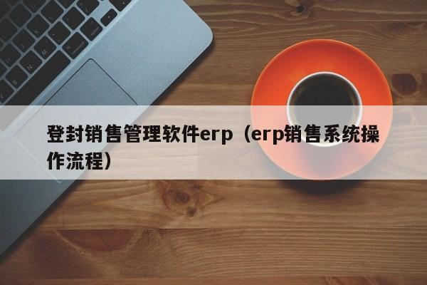 登封销售管理软件erp（erp销售系统操作流程）