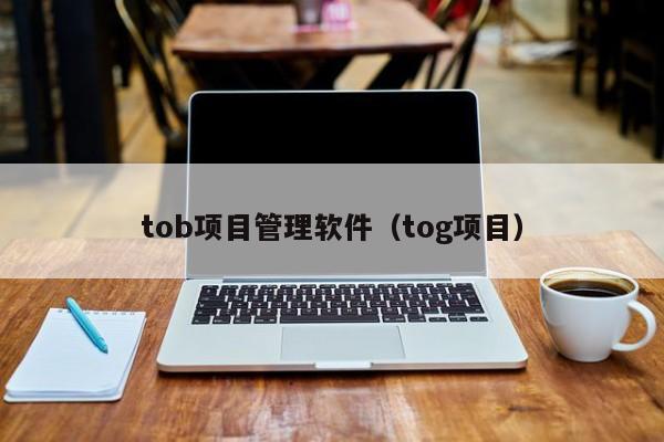 tob项目管理软件（tog项目）