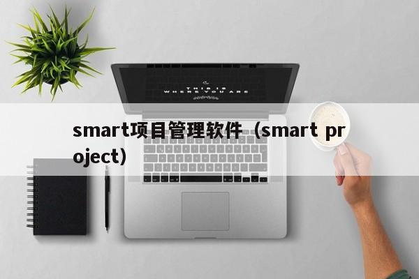 smart项目管理软件（smart project）