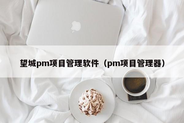 望城pm项目管理软件（pm项目管理器）