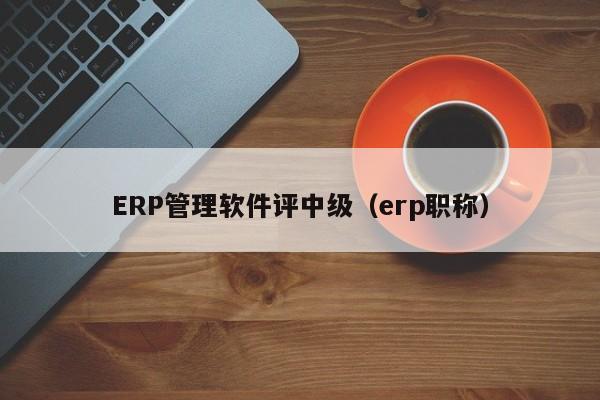 ERP管理软件评中级（erp职称）