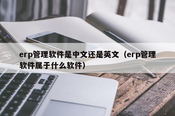 erp管理软件是中文还是英文（erp管理软件属于什么软件）