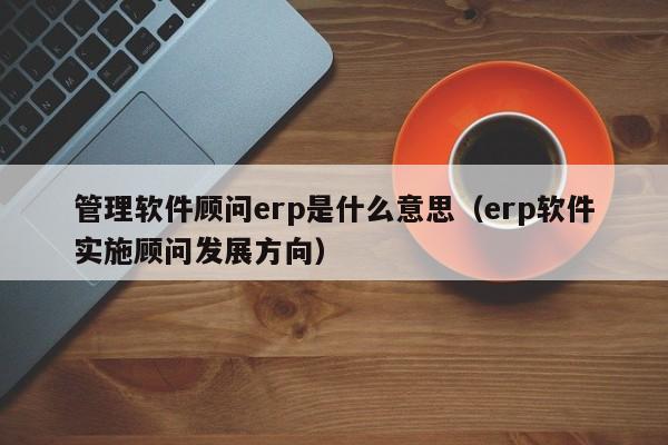 管理软件顾问erp是什么意思（erp软件实施顾问发展方向）