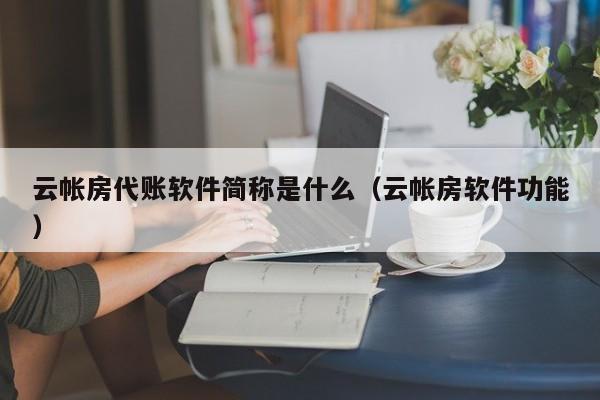 云帐房代账软件简称是什么（云帐房软件功能）