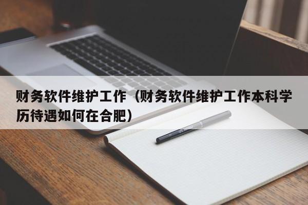 财务软件维护工作（财务软件维护工作本科学历待遇如何在合肥）