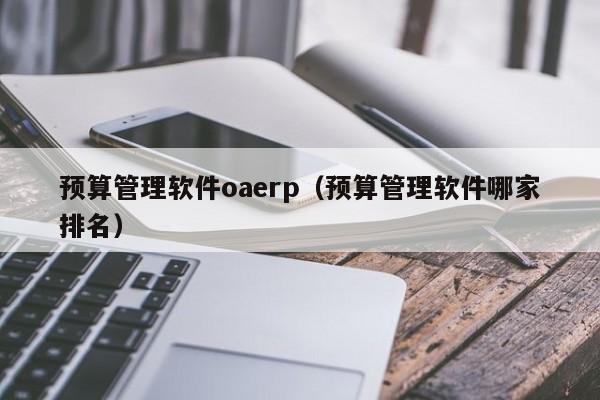 预算管理软件oaerp（预算管理软件哪家排名）