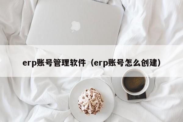 erp账号管理软件（erp账号怎么创建）