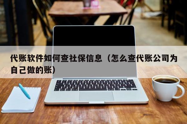 代账软件如何查社保信息（怎么查代账公司为自己做的账）