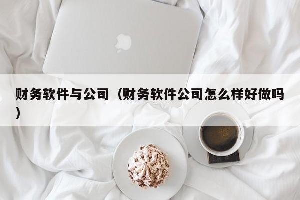 财务软件与公司（财务软件公司怎么样好做吗）