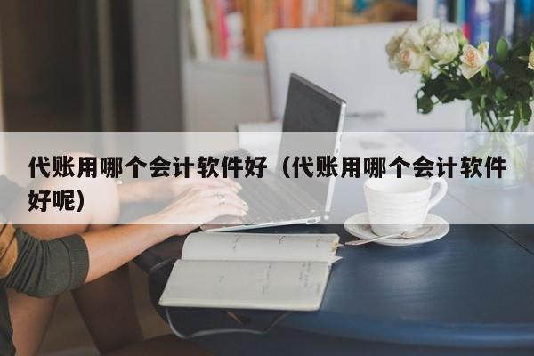 代账用哪个会计软件好（代账用哪个会计软件好呢）