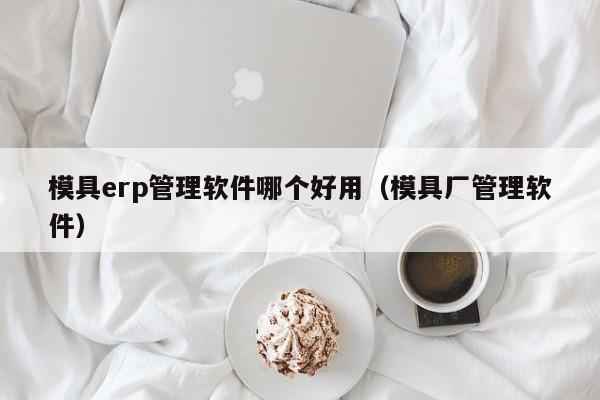 模具erp管理软件哪个好用（模具厂管理软件）