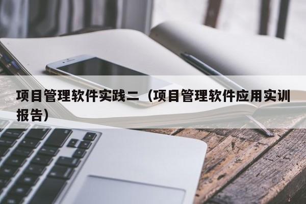 项目管理软件实践二（项目管理软件应用实训报告）