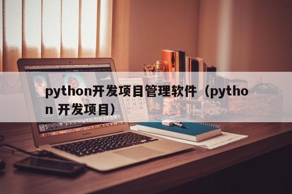 python开发项目管理软件（python 开发项目）