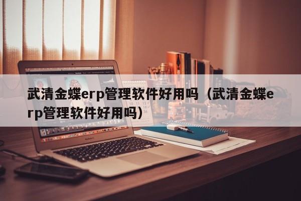 武清金蝶erp管理软件好用吗（武清金蝶erp管理软件好用吗）