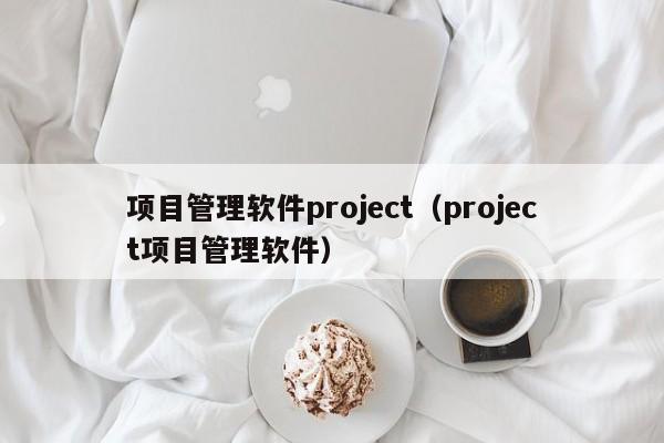 项目管理软件project（project项目管理软件）