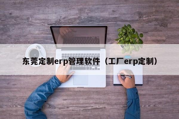 东莞定制erp管理软件（工厂erp定制）