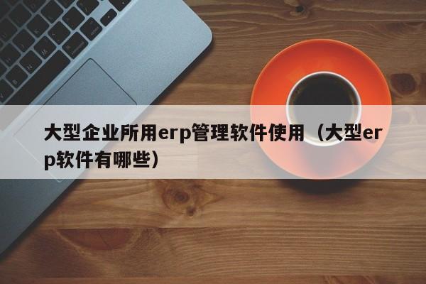 大型企业所用erp管理软件使用（大型erp软件有哪些）