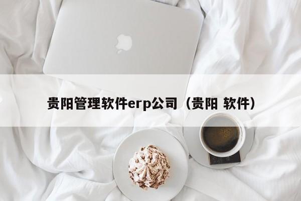 贵阳管理软件erp公司（贵阳 软件）