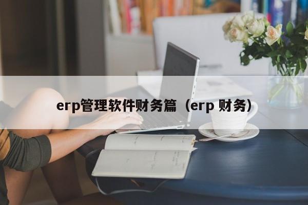 erp管理软件财务篇（erp 财务）