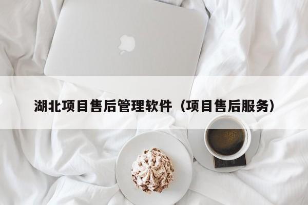 湖北项目售后管理软件（项目售后服务）