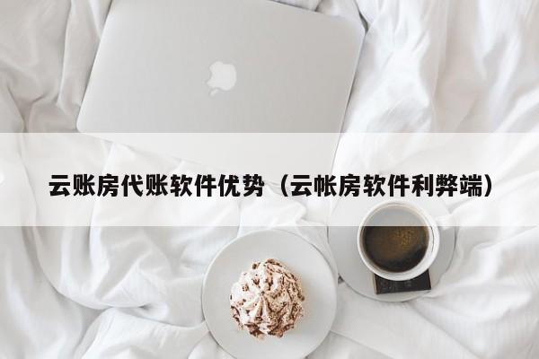 云账房代账软件优势（云帐房软件利弊端）