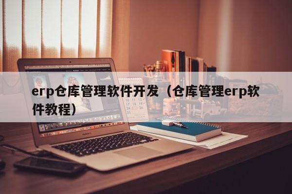 erp仓库管理软件开发（仓库管理erp软件教程）