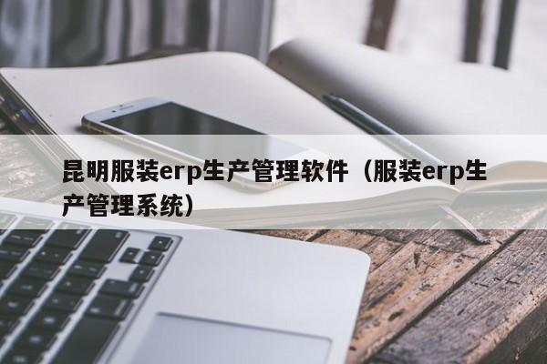 昆明服装erp生产管理软件（服装erp生产管理系统）