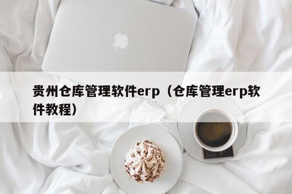 贵州仓库管理软件erp（仓库管理erp软件教程）