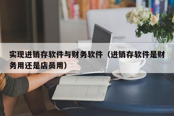 实现进销存软件与财务软件（进销存软件是财务用还是店员用）