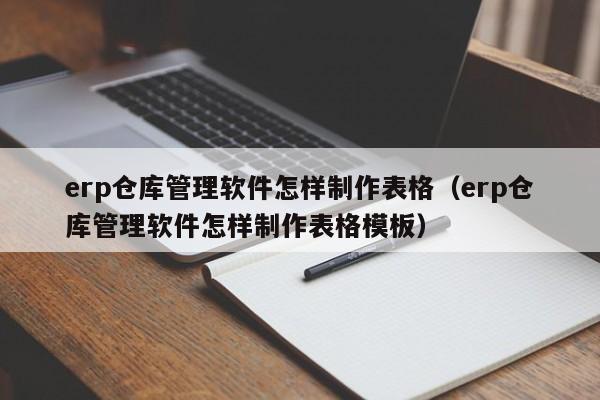 erp仓库管理软件怎样制作表格（erp仓库管理软件怎样制作表格模板）