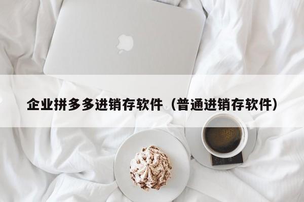 企业拼多多进销存软件（普通进销存软件）