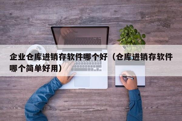 企业仓库进销存软件哪个好（仓库进销存软件哪个简单好用）