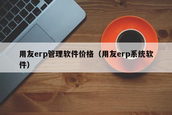 用友erp管理软件价格（用友erp系统软件）