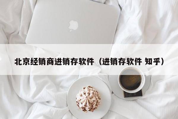 北京经销商进销存软件（进销存软件 知乎）