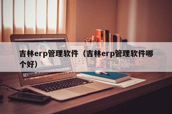 吉林erp管理软件（吉林erp管理软件哪个好）