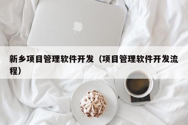 新乡项目管理软件开发（项目管理软件开发流程）