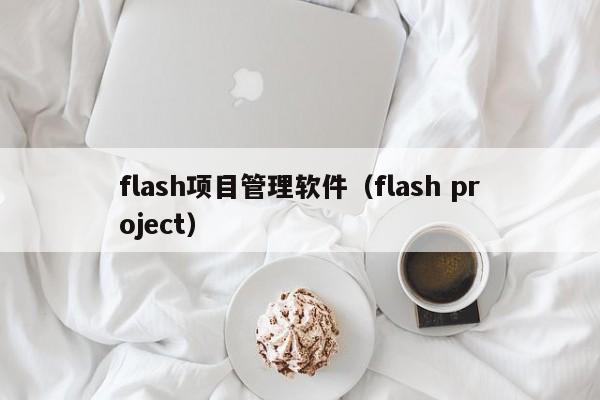 flash项目管理软件（flash project）