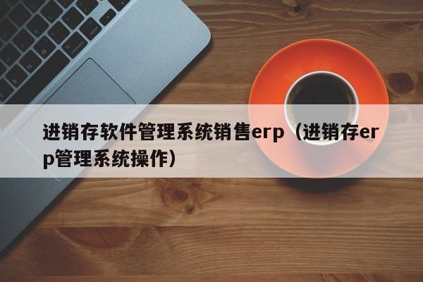 进销存软件管理系统销售erp（进销存erp管理系统操作）