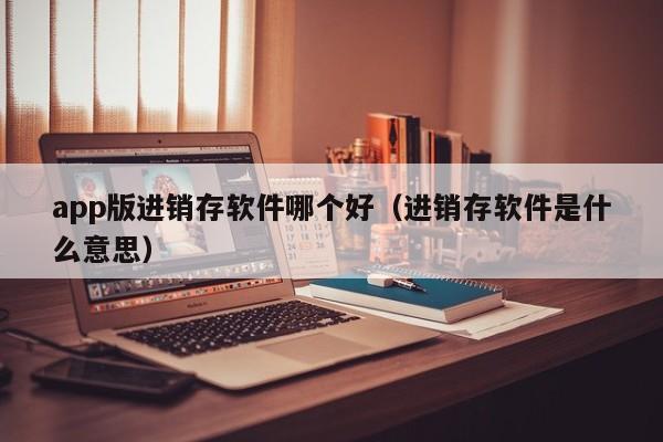 app版进销存软件哪个好（进销存软件是什么意思）