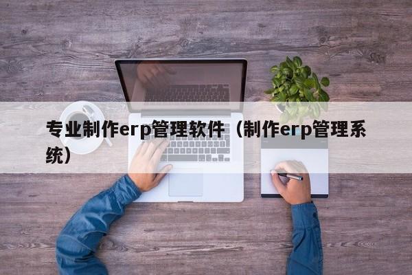 专业制作erp管理软件（制作erp管理系统）